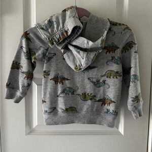 Dinosaur Print Gray Kids Hoodie with matching bf pants